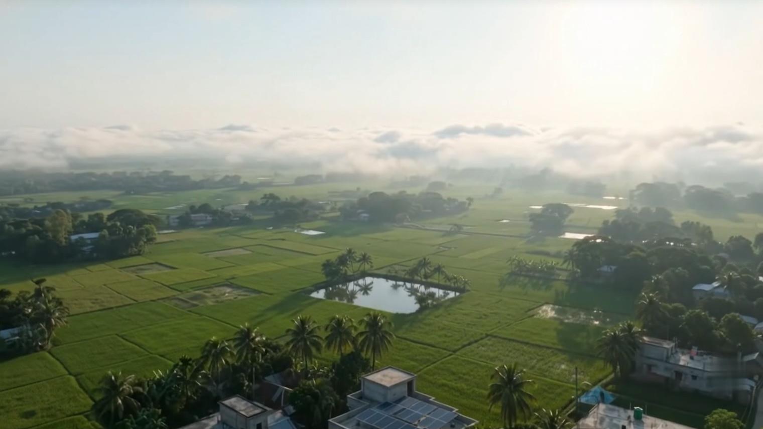 Aerial view of rice fields, ponds and village houses